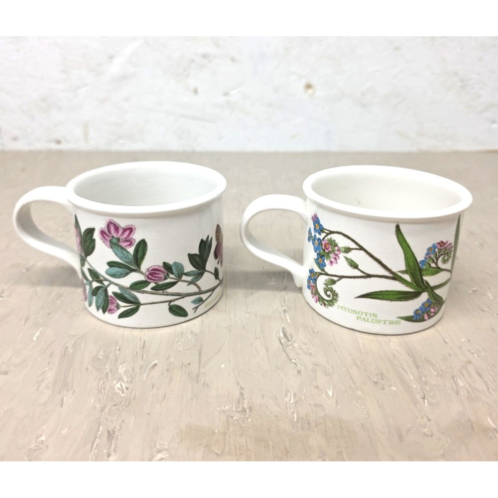 Vintage 80s Portmeirion Botanic Garden Flat Drum Mugs Floral Set of 2 England
